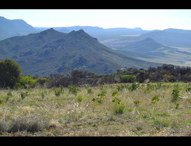 FARM FOR SALE IN PIKETBERG RURAL